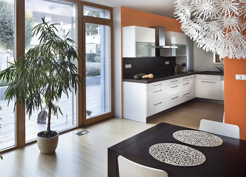 Aenean Ipsum tincidunt ut sed